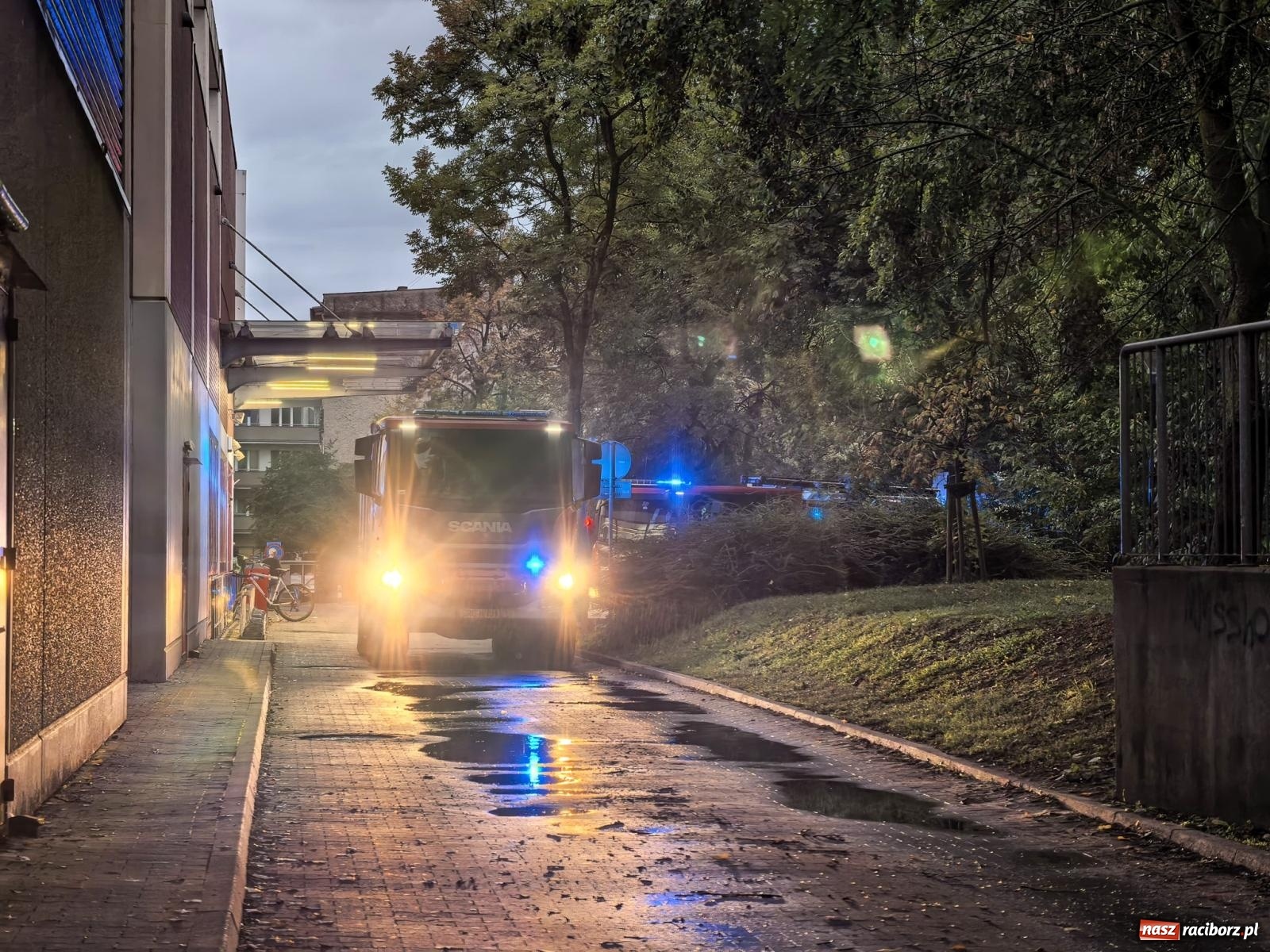 Zdjęcie w galerii na portalu naszraciborz.pl: Siedem interwencji straży pożarnej w powiecie raciborskim. Kolizje, plama oleju i pożar drzewa [FOTO] wiadomości z regionu