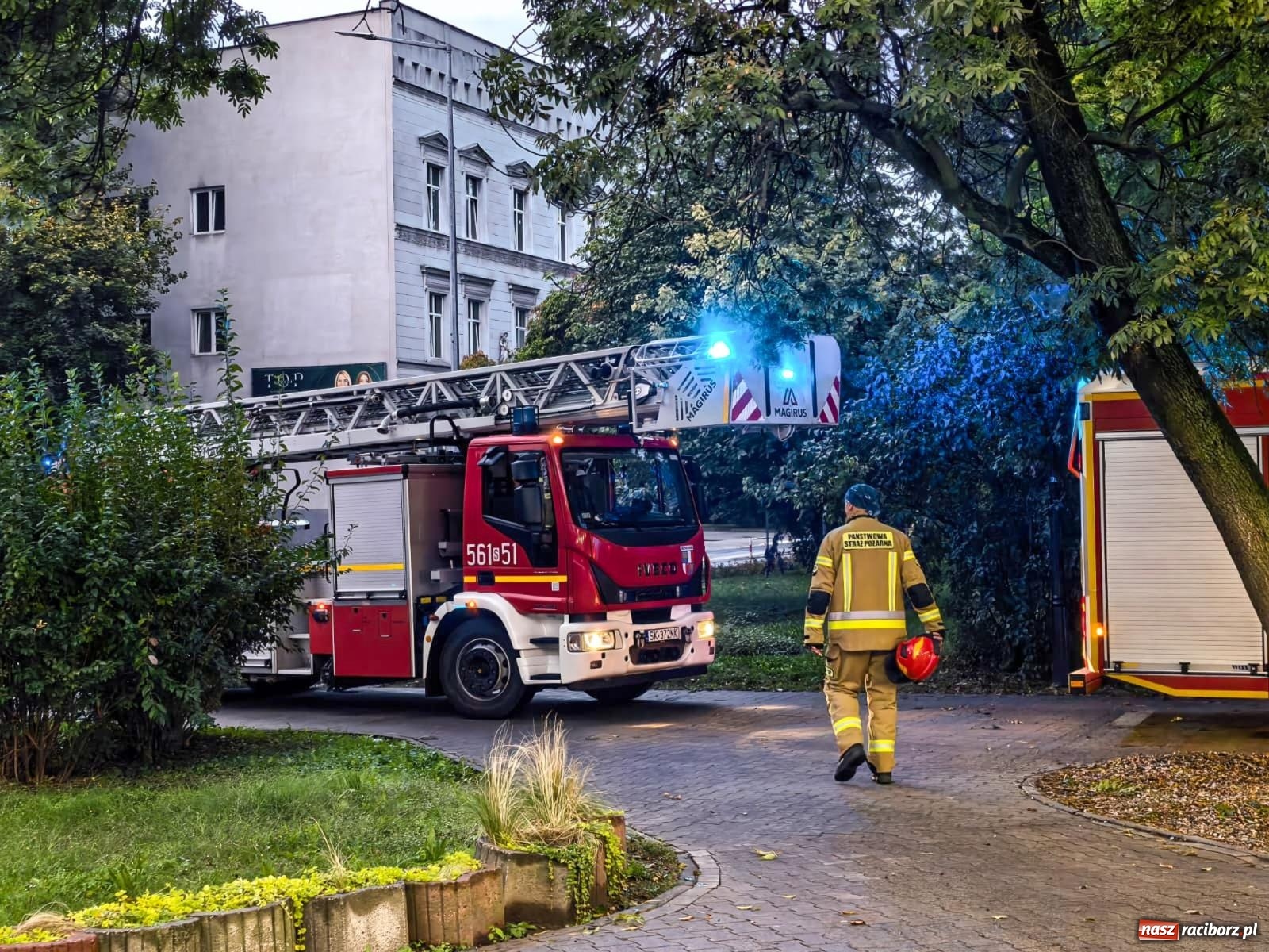 Zdjęcie w galerii na portalu naszraciborz.pl: Siedem interwencji straży pożarnej w powiecie raciborskim. Kolizje, plama oleju i pożar drzewa [FOTO] wiadomości z regionu