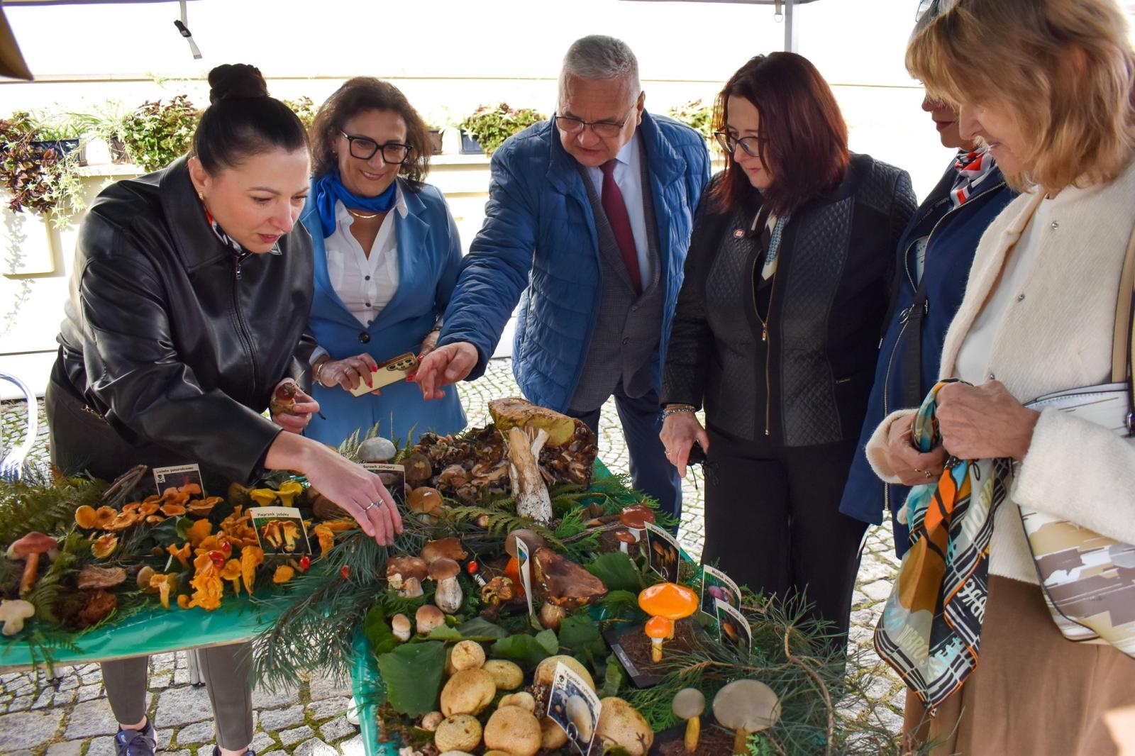 Zdjęcie w galerii na portalu naszraciborz.pl: Bezpieczne Grzybobranie 2026. Edukacja, zdrowie i bezpieczeństwo na Zamku Piastowskim wiadomości z regionu