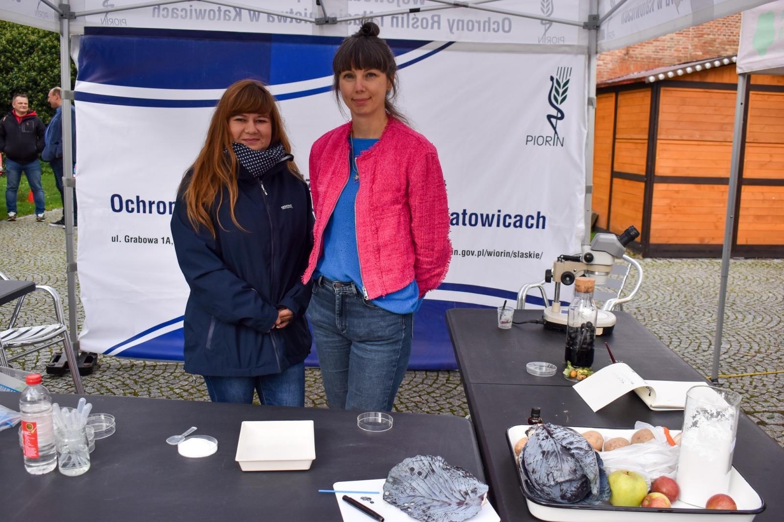 Zdjęcie w galerii na portalu naszraciborz.pl: Bezpieczne Grzybobranie 2026. Edukacja, zdrowie i bezpieczeństwo na Zamku Piastowskim wiadomości z regionu