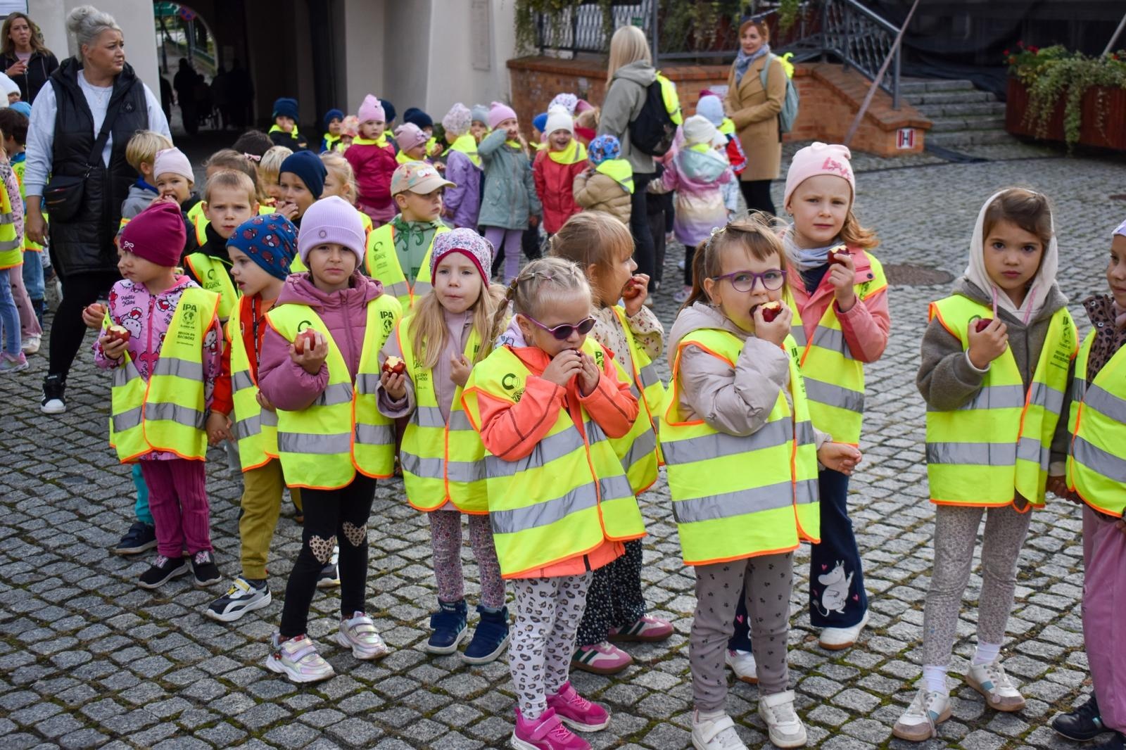 Zdjęcie w galerii na portalu naszraciborz.pl: Bezpieczne Grzybobranie 2026. Edukacja, zdrowie i bezpieczeństwo na Zamku Piastowskim wiadomości z regionu