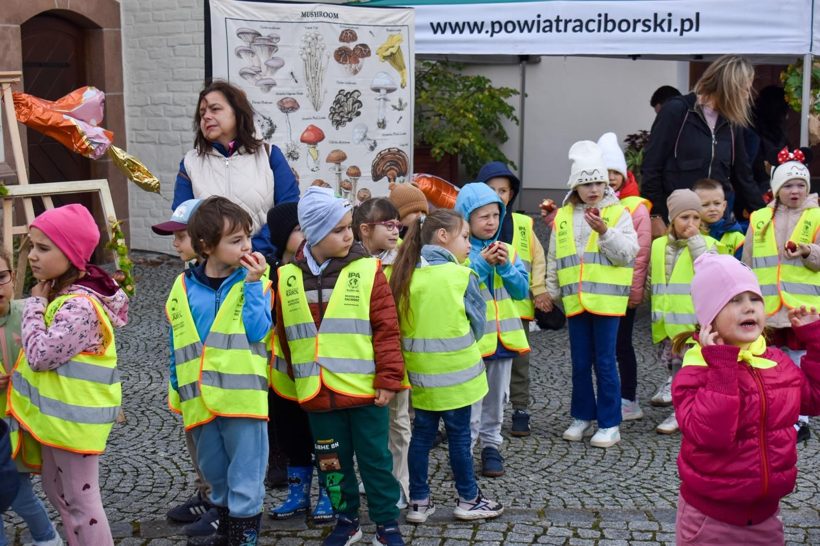 Zdjęcie w galerii na portalu naszraciborz.pl: Bezpieczne Grzybobranie 2026. Edukacja, zdrowie i bezpieczeństwo na Zamku Piastowskim wiadomości z regionu