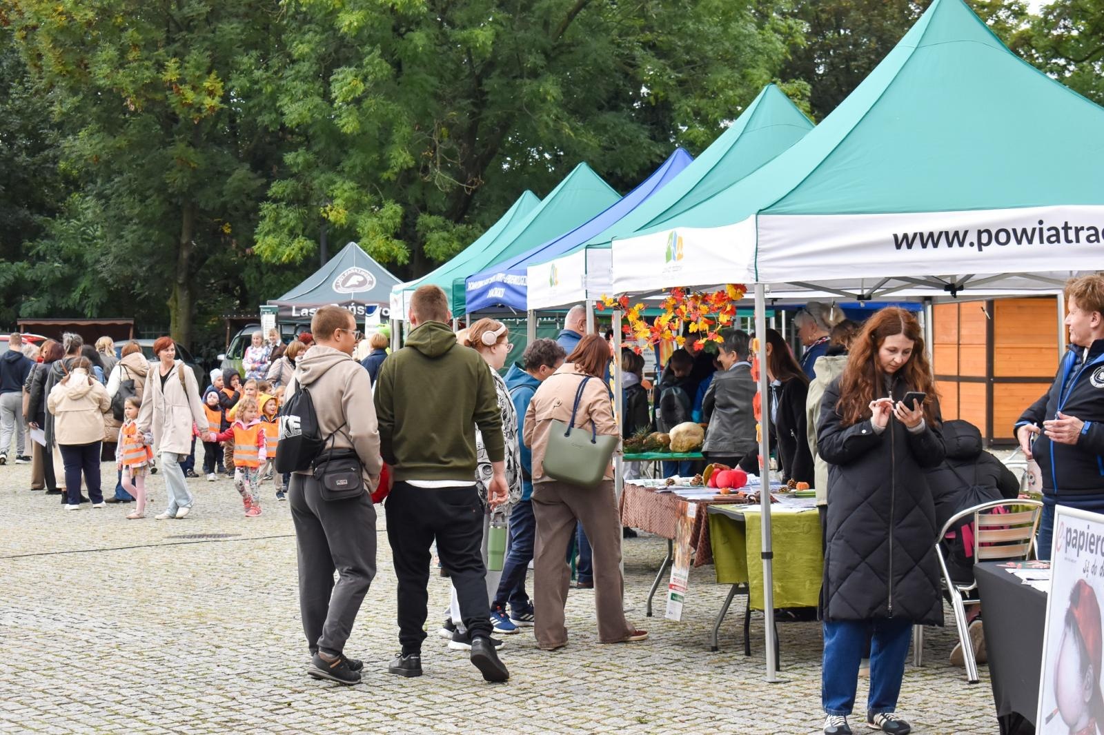 Zdjęcie w galerii na portalu naszraciborz.pl: Bezpieczne Grzybobranie 2026. Edukacja, zdrowie i bezpieczeństwo na Zamku Piastowskim wiadomości z regionu