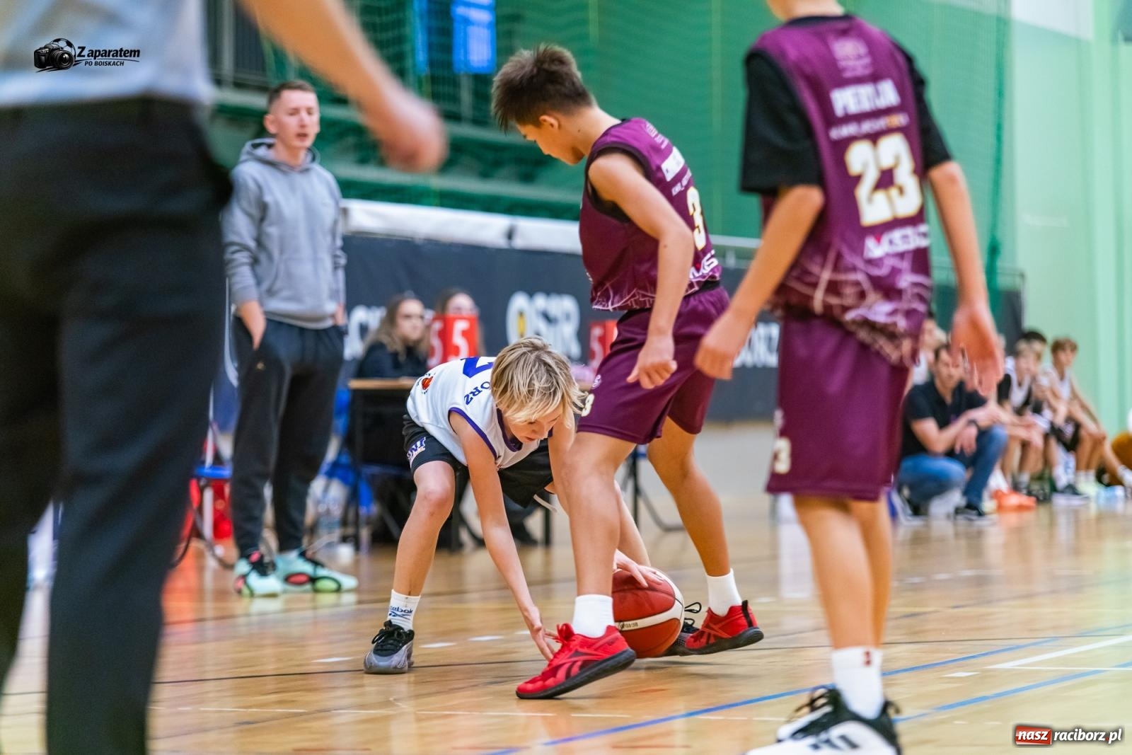 Zdjęcie w galerii na portalu naszraciborz.pl: MiniBasketball Racibórz z mocnym otwarciem sezonu. Pewna wygrana na inaugurację [FOTO i WIDEO] wiadomości z regionu