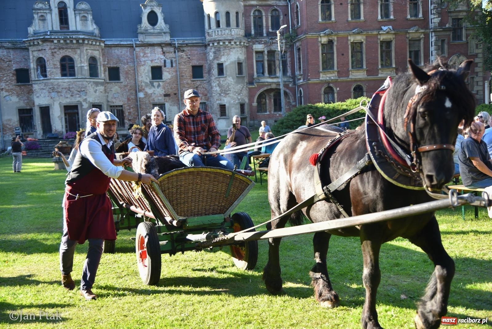 Zdjęcie w galerii na portalu naszraciborz.pl: Winobranie, ogień i cygańska muzyka w Krowiarkach. Fanny Days 2026 za nami [FOTOREPORTAŻ] wiadomości z regionu