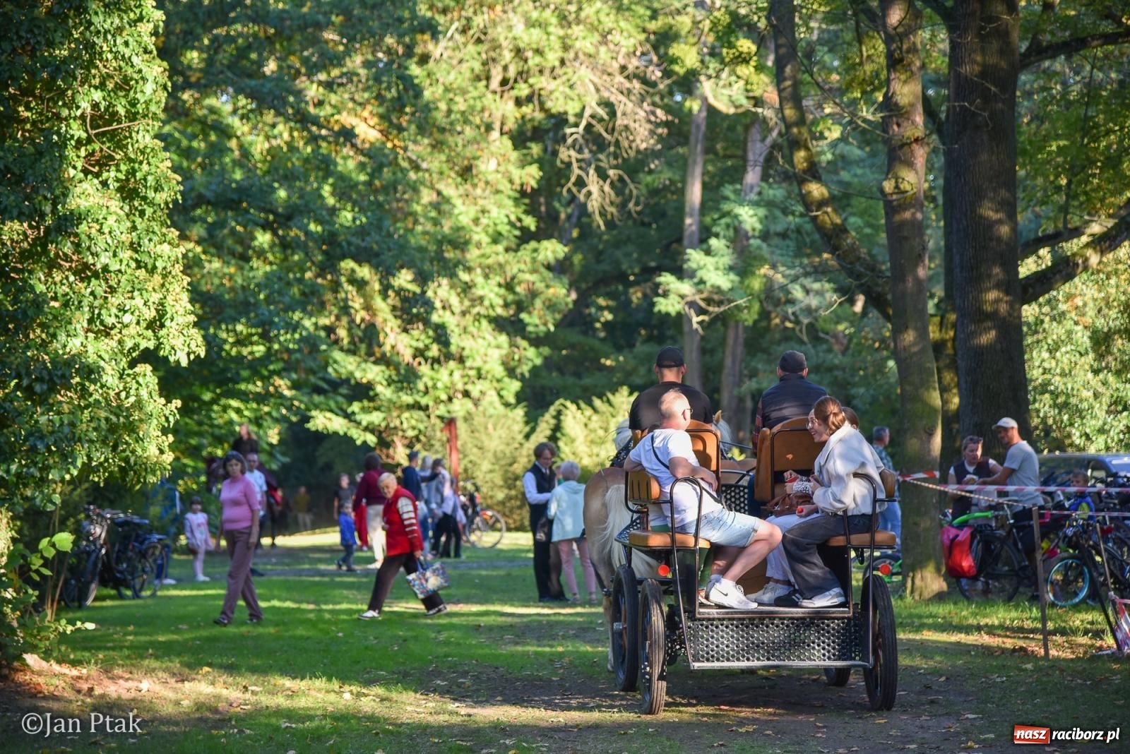 Zdjęcie w galerii na portalu naszraciborz.pl: Winobranie, ogień i cygańska muzyka w Krowiarkach. Fanny Days 2026 za nami [FOTOREPORTAŻ] wiadomości z regionu