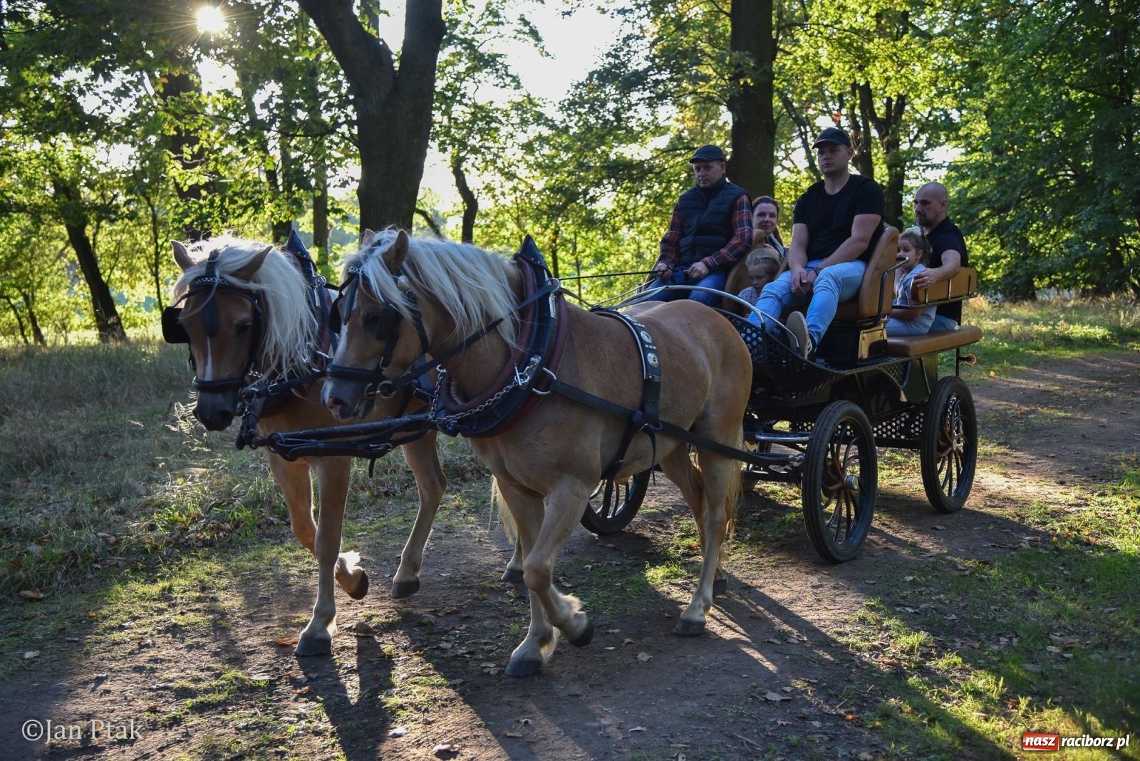 Zdjęcie w galerii na portalu naszraciborz.pl: Winobranie, ogień i cygańska muzyka w Krowiarkach. Fanny Days 2026 za nami [FOTOREPORTAŻ] wiadomości z regionu