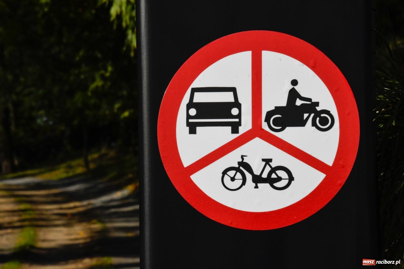Zdjęcie w galerii na portalu naszraciborz.pl: Nowy singletrack w Samborowicach. Pierwszy taki obiekt w Euroregionie Silesia [FOTO i WIDEO] wiadomości z regionu