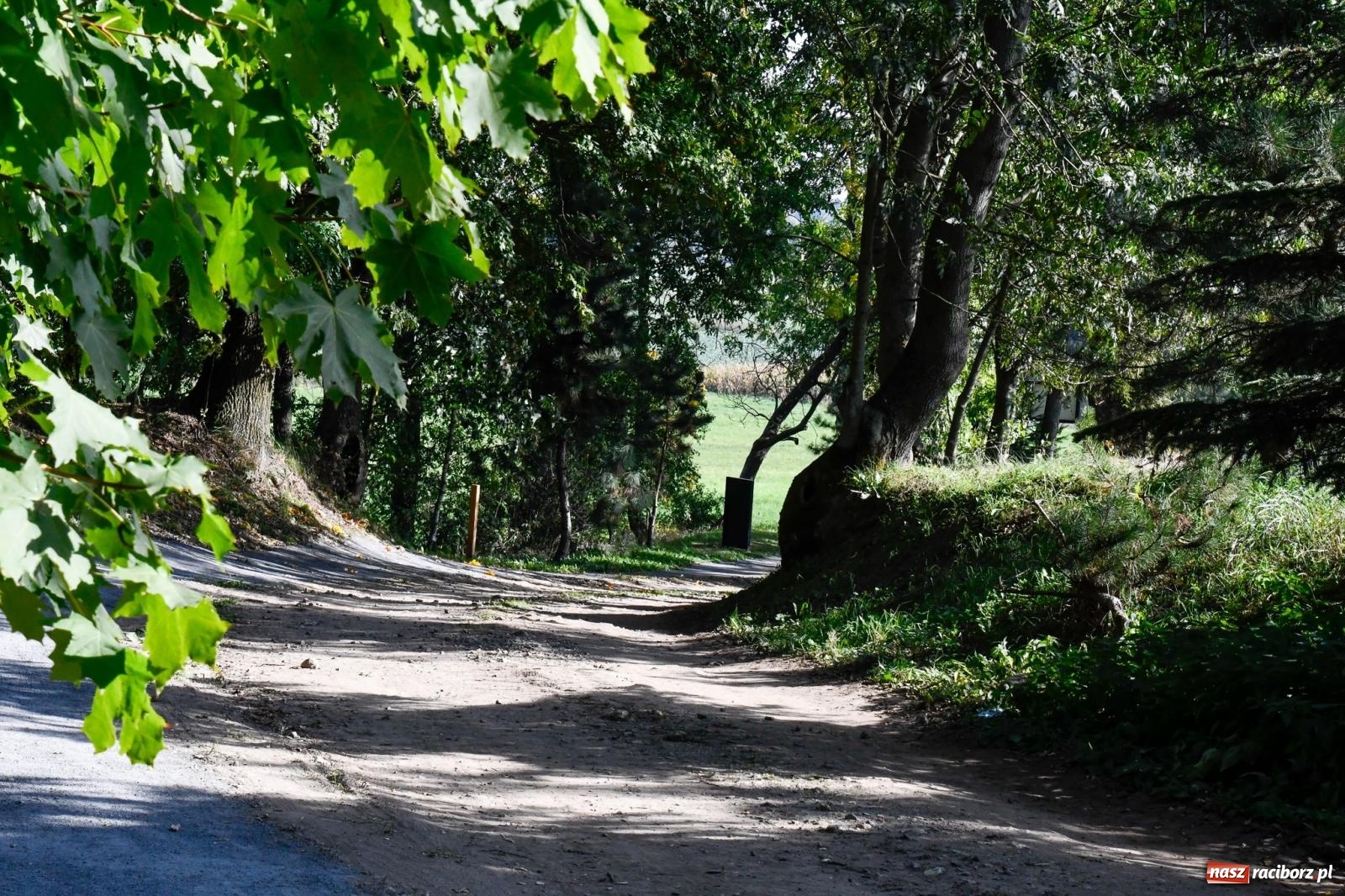 Zdjęcie w galerii na portalu naszraciborz.pl: Nowy singletrack w Samborowicach. Pierwszy taki obiekt w Euroregionie Silesia [FOTO i WIDEO] wiadomości z regionu