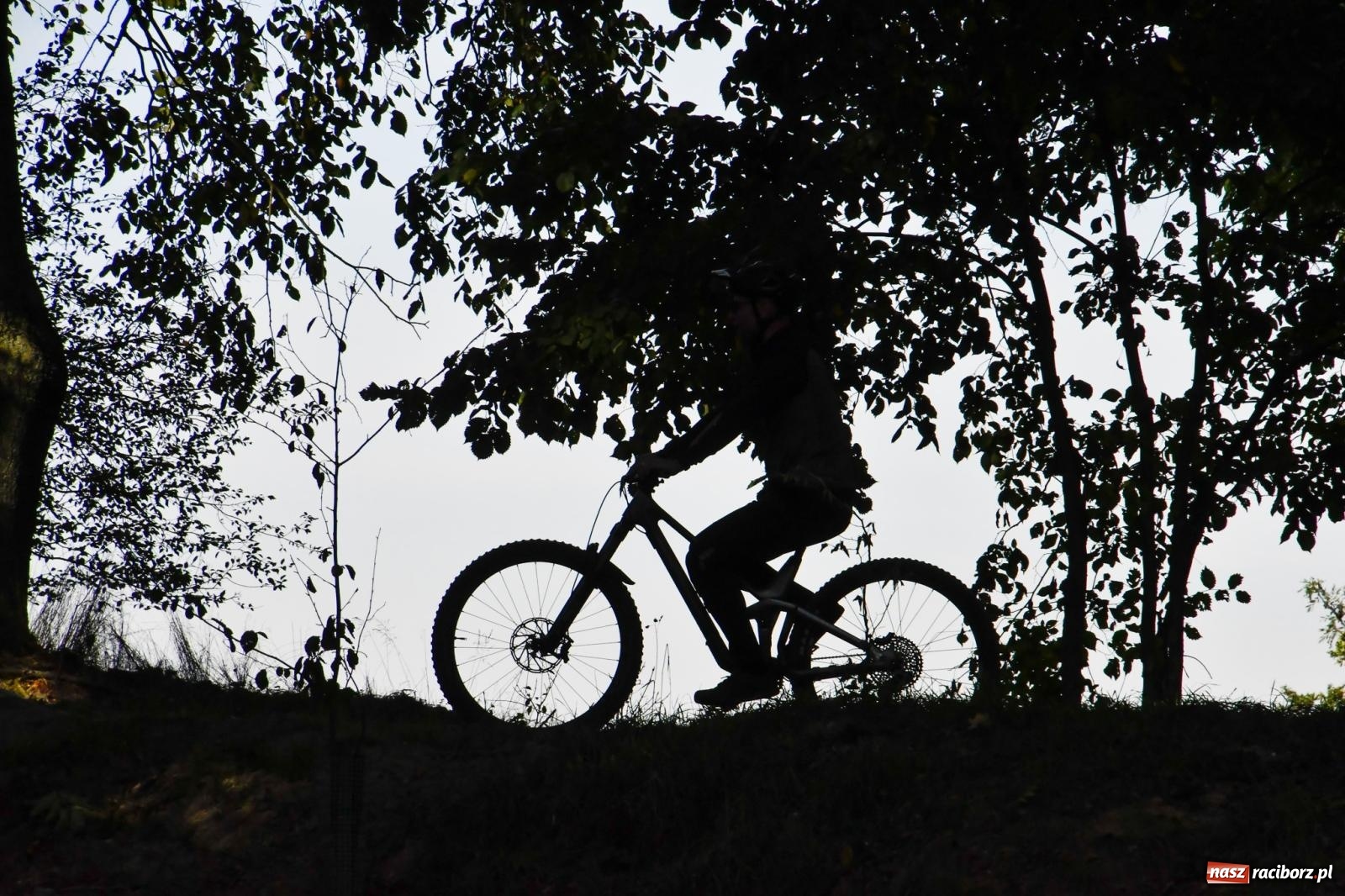 Zdjęcie w galerii na portalu naszraciborz.pl: Nowy singletrack w Samborowicach. Pierwszy taki obiekt w Euroregionie Silesia [FOTO i WIDEO] wiadomości z regionu
