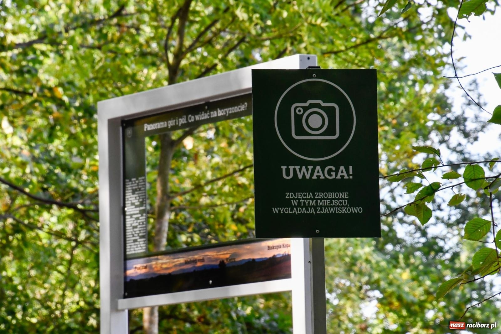 Zdjęcie w galerii na portalu naszraciborz.pl: Nowy singletrack w Samborowicach. Pierwszy taki obiekt w Euroregionie Silesia [FOTO i WIDEO] wiadomości z regionu