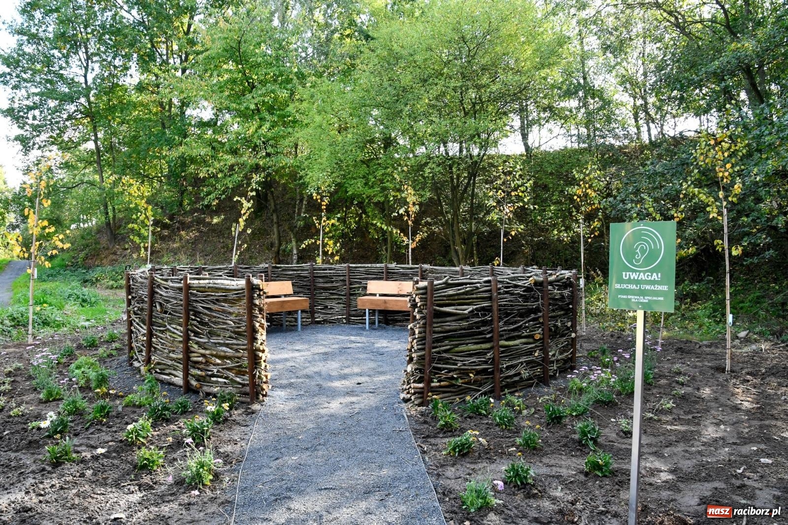 Zdjęcie w galerii na portalu naszraciborz.pl: Nowy singletrack w Samborowicach. Pierwszy taki obiekt w Euroregionie Silesia [FOTO i WIDEO] wiadomości z regionu