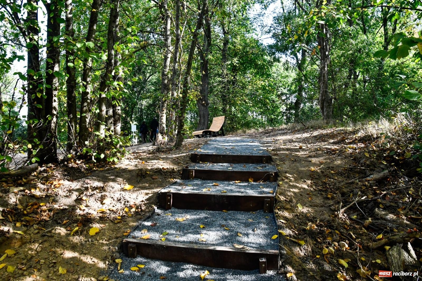 Zdjęcie w galerii na portalu naszraciborz.pl: Nowy singletrack w Samborowicach. Pierwszy taki obiekt w Euroregionie Silesia [FOTO i WIDEO] wiadomości z regionu