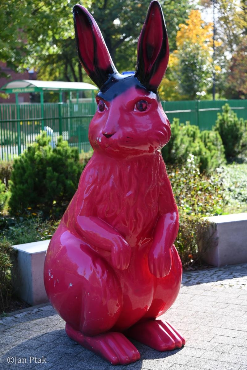 Zdjęcie w galerii na portalu naszraciborz.pl: Święto Dyni w Ogródku Jordanowskim. Jesienny dzień pełen atrakcji dla rodzin [FOTO i WIDEO] wiadomości z regionu