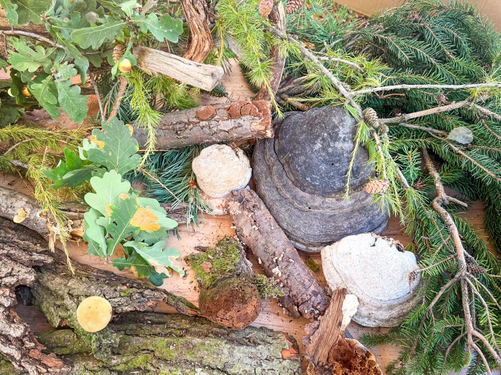 Zdjęcie w galerii na portalu naszraciborz.pl: Święto Dyni w Ogródku Jordanowskim. Jesienny dzień pełen atrakcji dla rodzin [FOTO i WIDEO] wiadomości z regionu