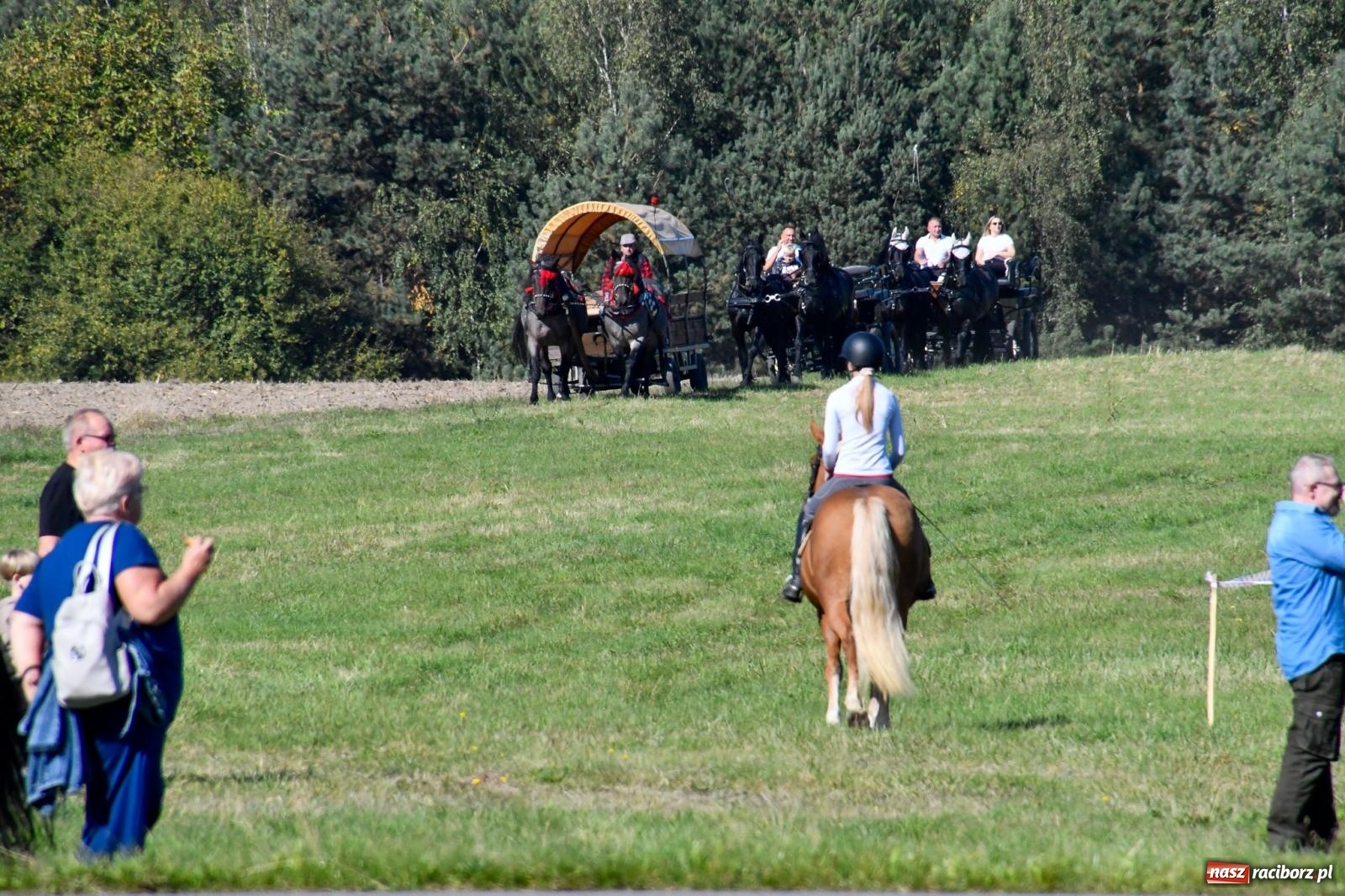 Zdjęcie w galerii na portalu naszraciborz.pl: Piknik Św. Huberta w Łańcach. Piękna pogoda na jubileuszową edycję [FOTO wiadomości z regionu