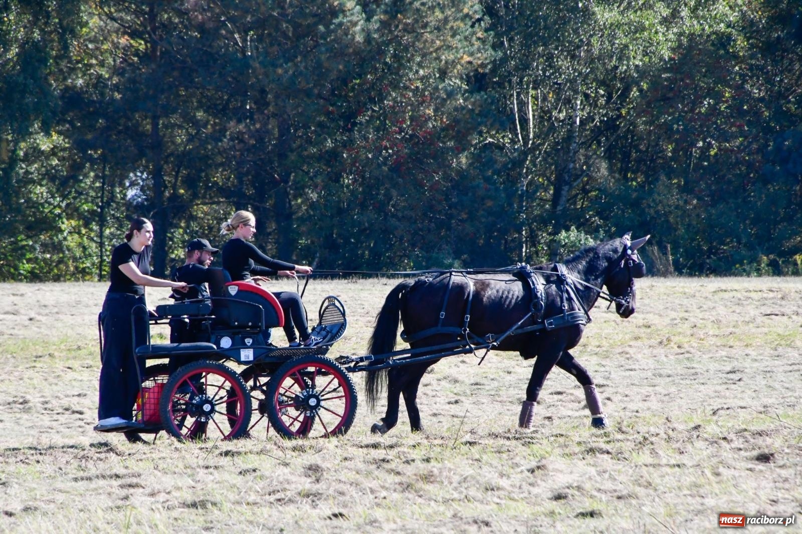 Zdjęcie w galerii na portalu naszraciborz.pl: Piknik Św. Huberta w Łańcach. Piękna pogoda na jubileuszową edycję [FOTO wiadomości z regionu