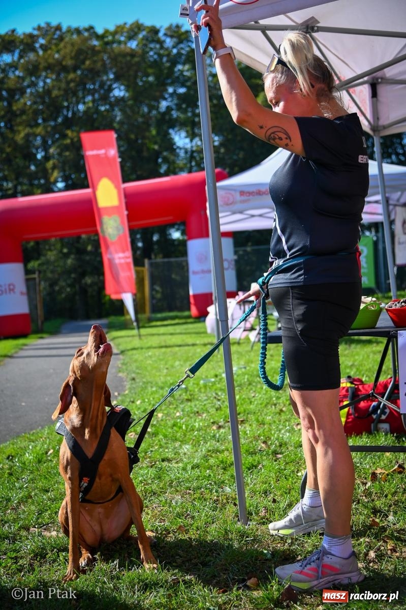 Zdjęcie w galerii na portalu naszraciborz.pl: ZOO-MAR Dogtrekking Racibórz 2026. Sportowa rywalizacja i pomoc dla bezdomnych zwierząt wiadomości z regionu