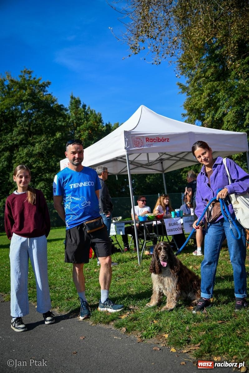 Zdjęcie w galerii na portalu naszraciborz.pl: ZOO-MAR Dogtrekking Racibórz 2026. Sportowa rywalizacja i pomoc dla bezdomnych zwierząt wiadomości z regionu