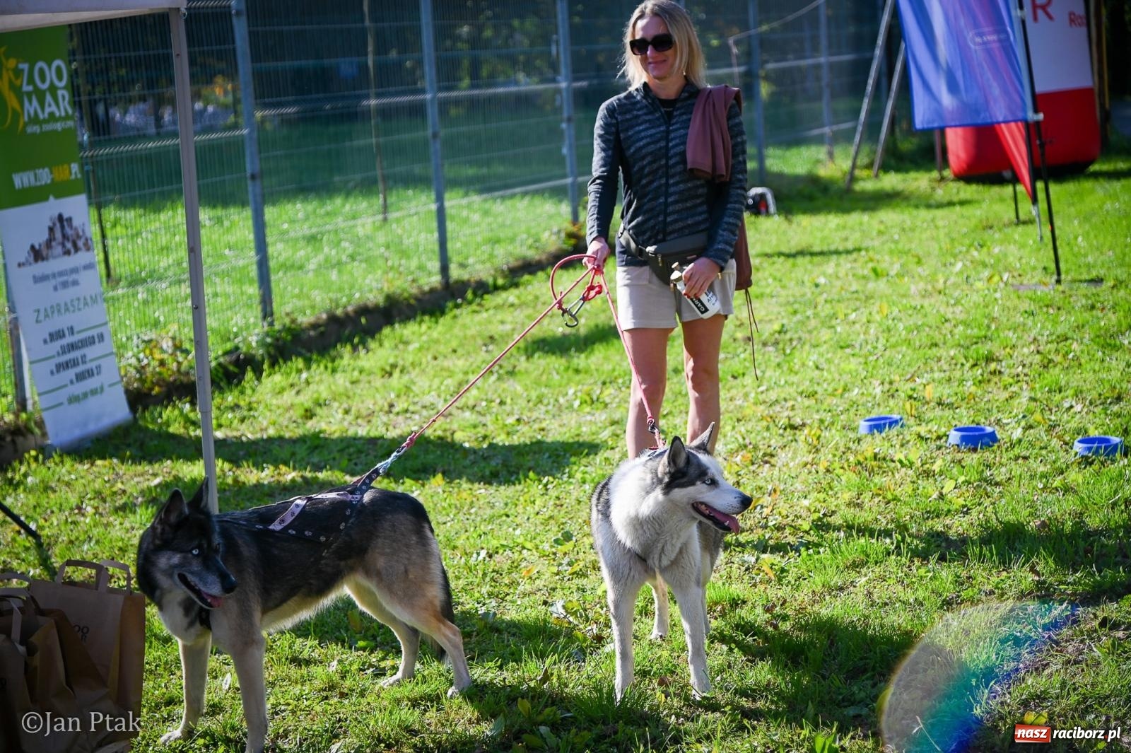 Zdjęcie w galerii na portalu naszraciborz.pl: ZOO-MAR Dogtrekking Racibórz 2026. Sportowa rywalizacja i pomoc dla bezdomnych zwierząt wiadomości z regionu