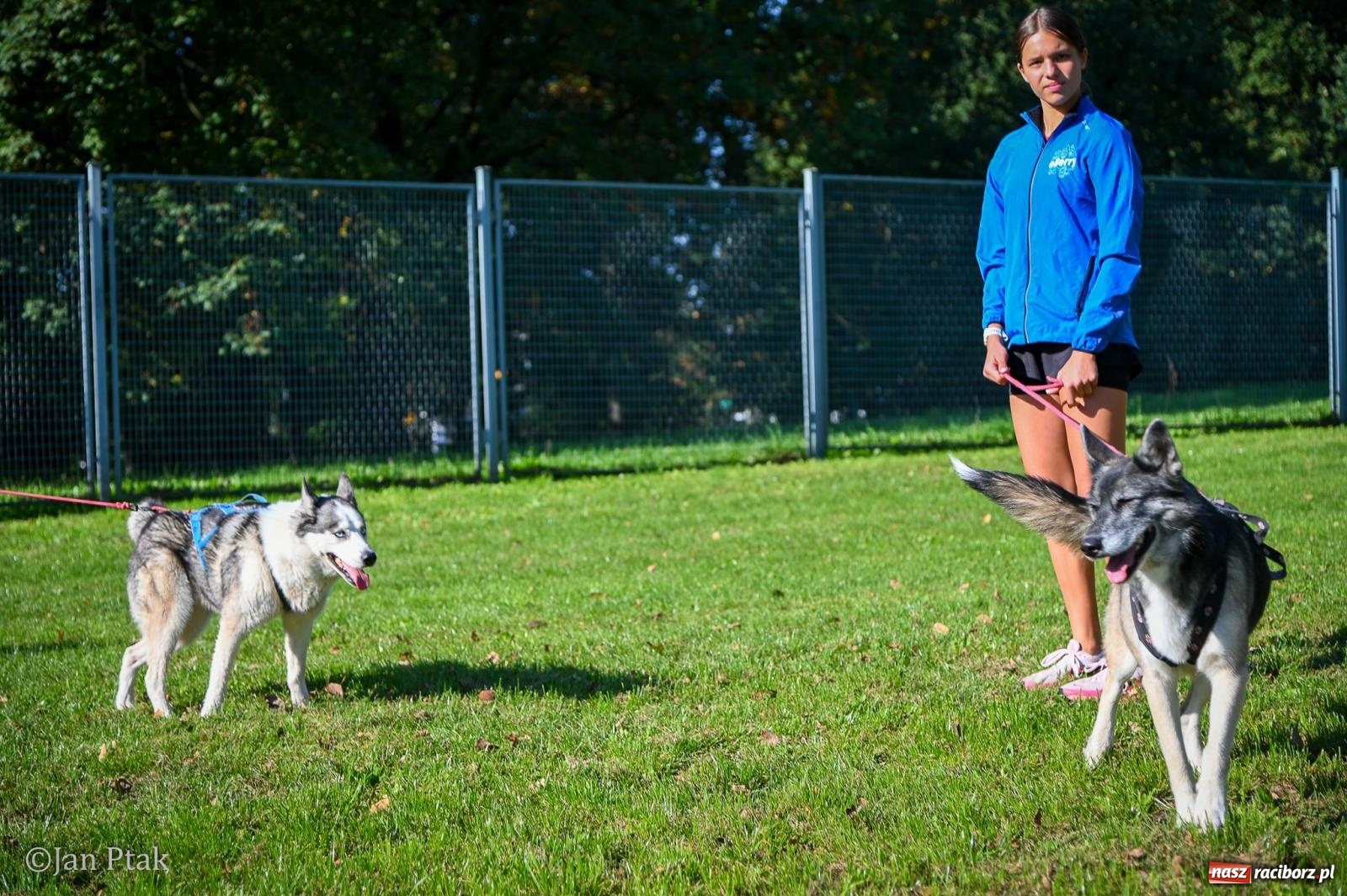 Zdjęcie w galerii na portalu naszraciborz.pl: ZOO-MAR Dogtrekking Racibórz 2026. Sportowa rywalizacja i pomoc dla bezdomnych zwierząt wiadomości z regionu