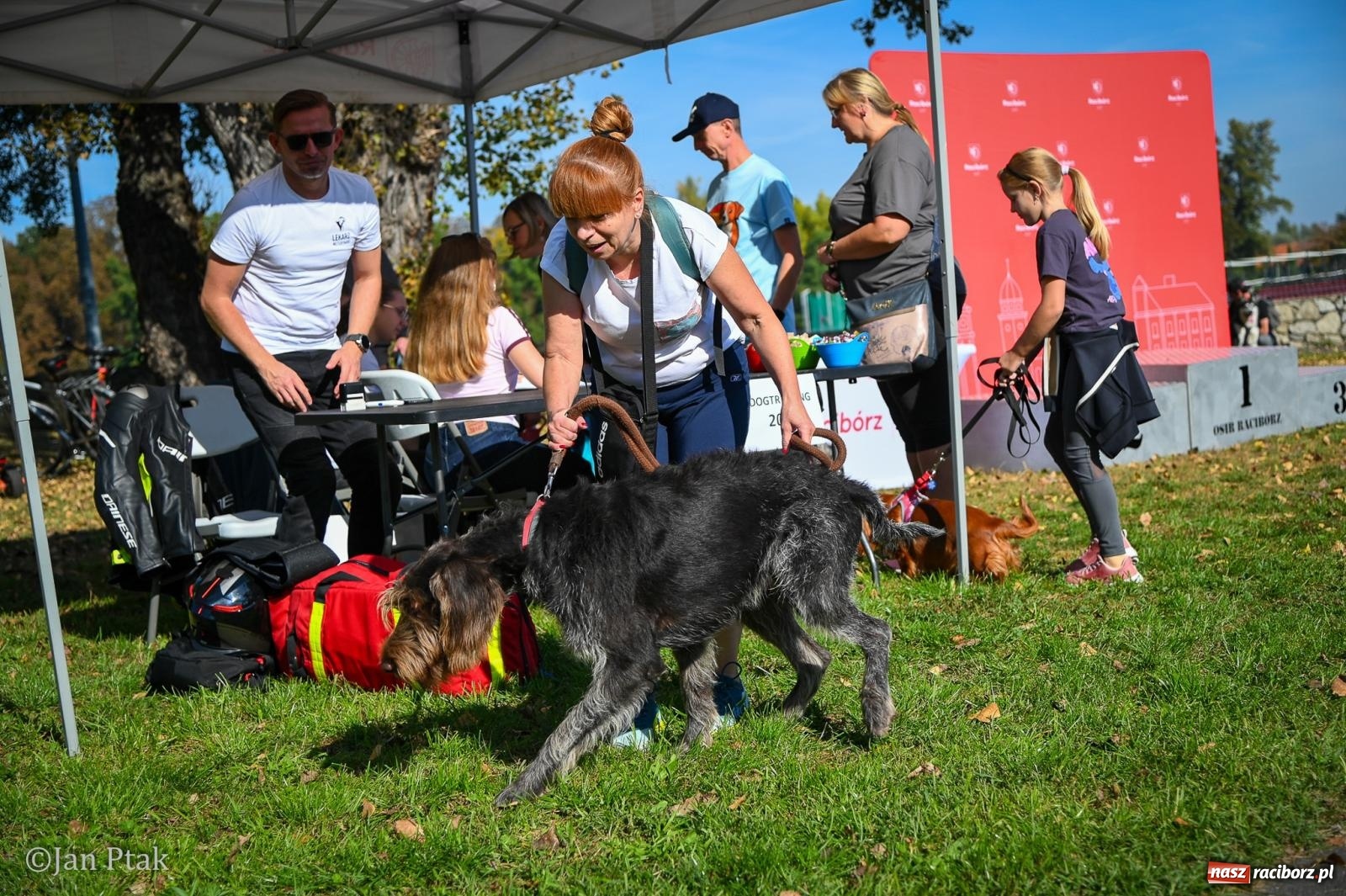 Zdjęcie w galerii na portalu naszraciborz.pl: ZOO-MAR Dogtrekking Racibórz 2026. Sportowa rywalizacja i pomoc dla bezdomnych zwierząt wiadomości z regionu