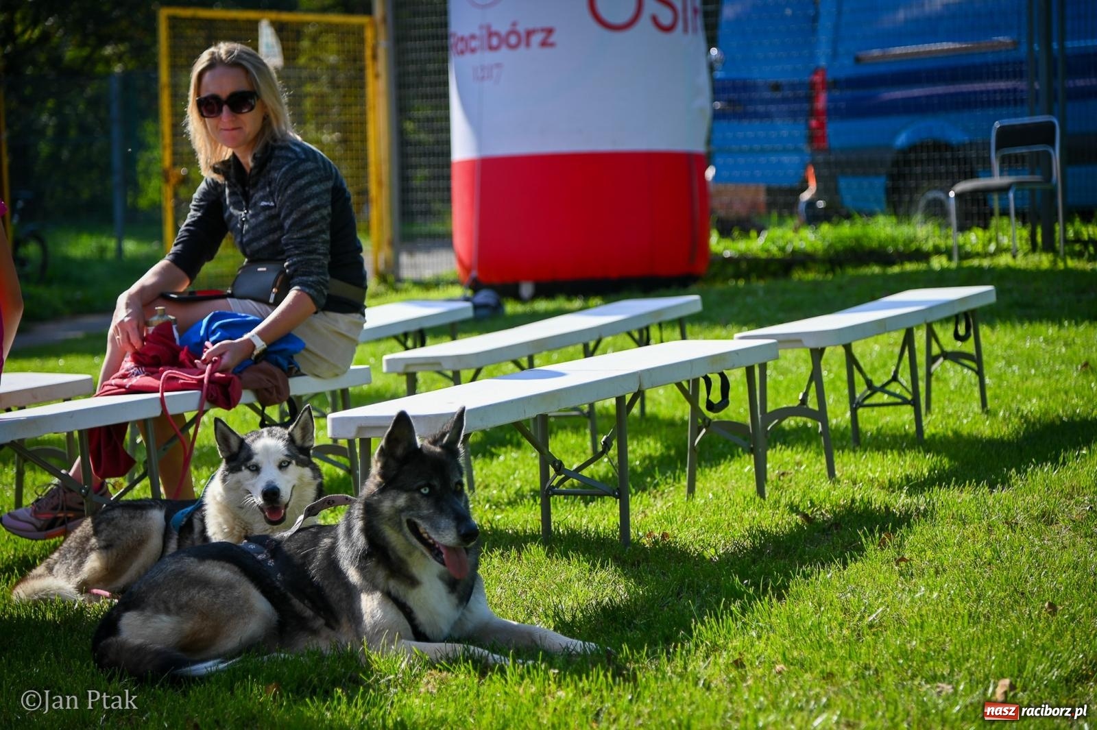Zdjęcie w galerii na portalu naszraciborz.pl: ZOO-MAR Dogtrekking Racibórz 2026. Sportowa rywalizacja i pomoc dla bezdomnych zwierząt wiadomości z regionu