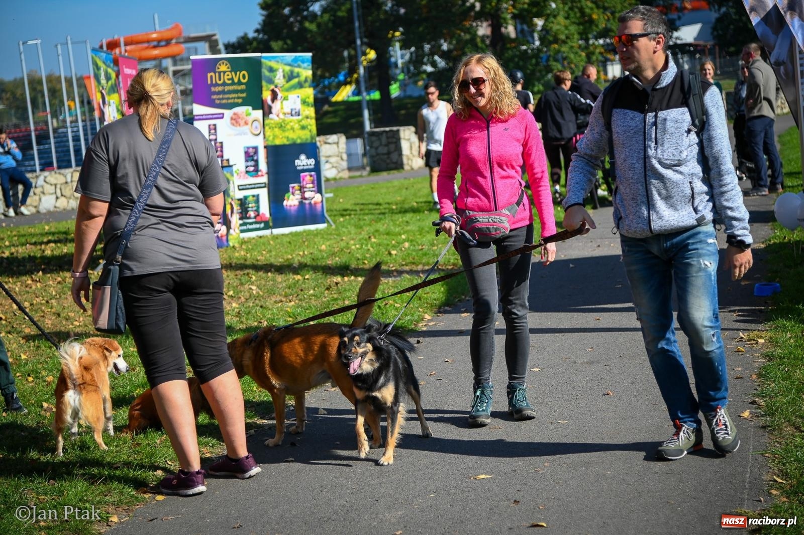 Zdjęcie w galerii na portalu naszraciborz.pl: ZOO-MAR Dogtrekking Racibórz 2026. Sportowa rywalizacja i pomoc dla bezdomnych zwierząt wiadomości z regionu