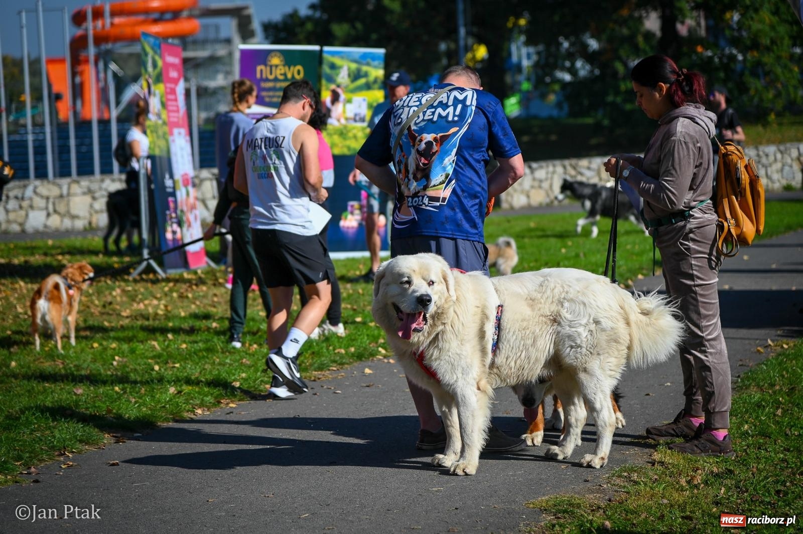 Zdjęcie w galerii na portalu naszraciborz.pl: ZOO-MAR Dogtrekking Racibórz 2026. Sportowa rywalizacja i pomoc dla bezdomnych zwierząt wiadomości z regionu