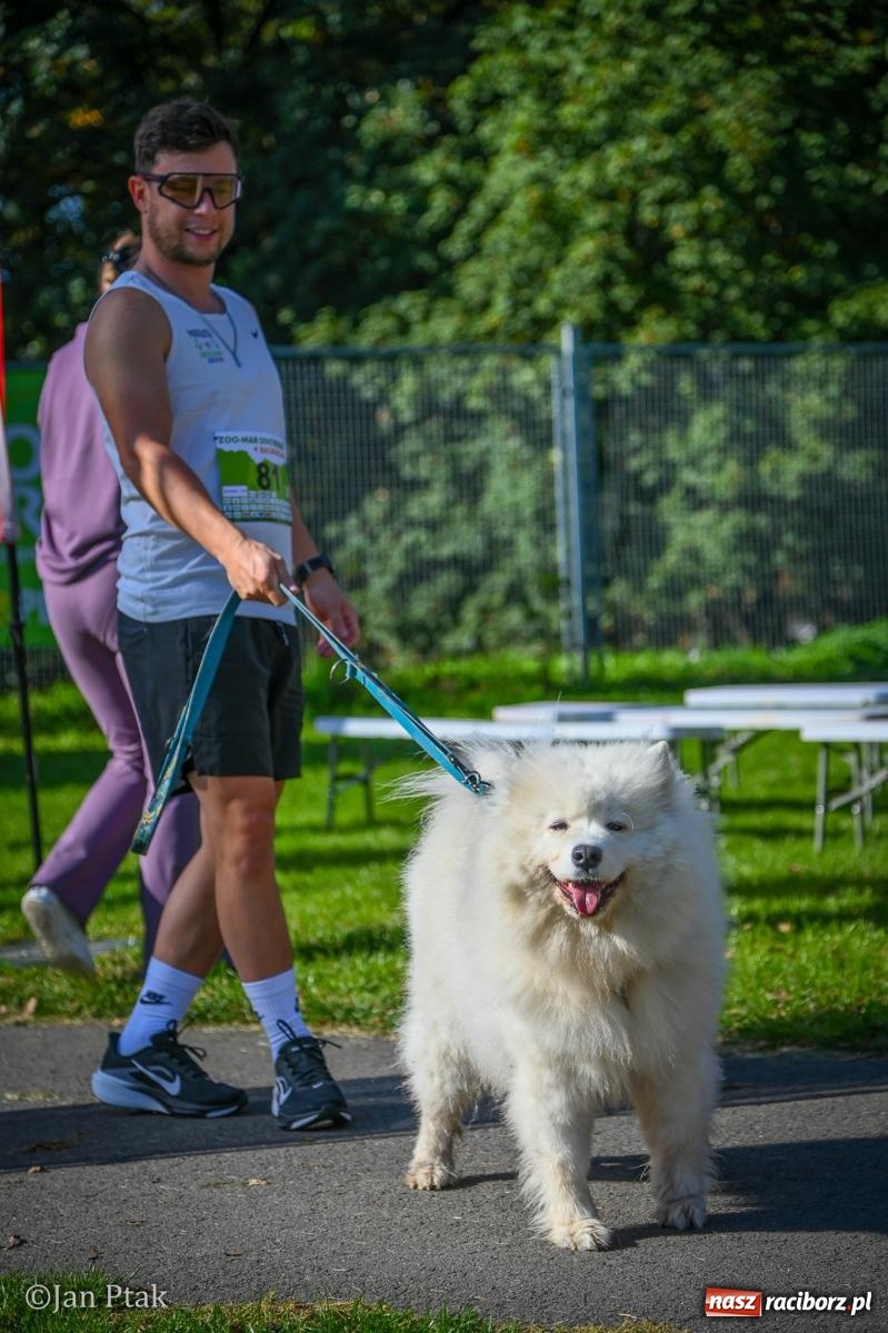 Zdjęcie w galerii na portalu naszraciborz.pl: ZOO-MAR Dogtrekking Racibórz 2026. Sportowa rywalizacja i pomoc dla bezdomnych zwierząt wiadomości z regionu