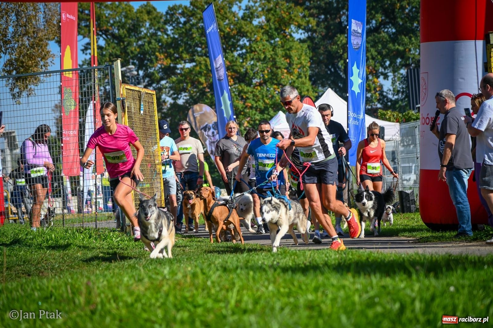 Zdjęcie w galerii na portalu naszraciborz.pl: ZOO-MAR Dogtrekking Racibórz 2026. Sportowa rywalizacja i pomoc dla bezdomnych zwierząt wiadomości z regionu