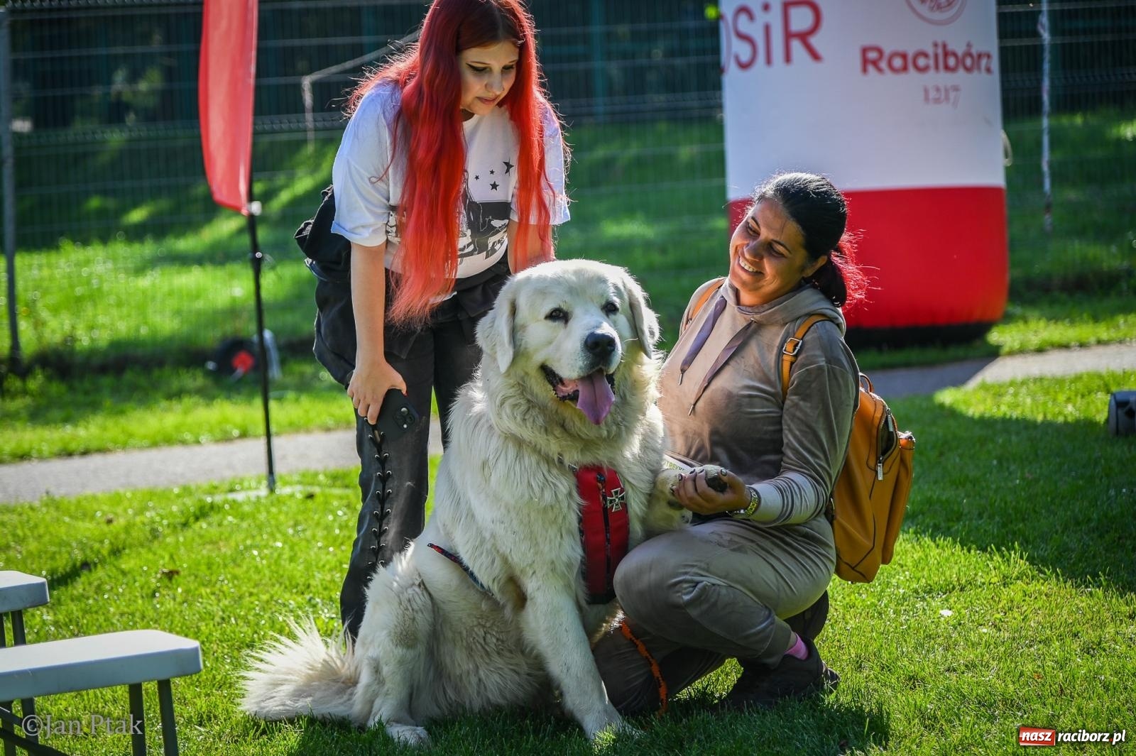 Zdjęcie w galerii na portalu naszraciborz.pl: ZOO-MAR Dogtrekking Racibórz 2026. Sportowa rywalizacja i pomoc dla bezdomnych zwierząt wiadomości z regionu