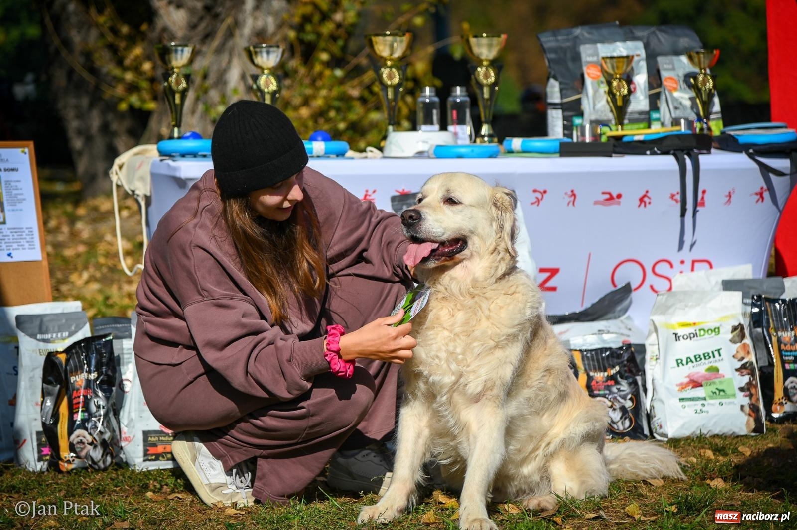 Zdjęcie w galerii na portalu naszraciborz.pl: ZOO-MAR Dogtrekking Racibórz 2026. Sportowa rywalizacja i pomoc dla bezdomnych zwierząt wiadomości z regionu