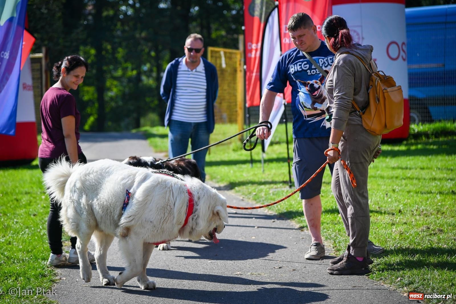 Zdjęcie w galerii na portalu naszraciborz.pl: ZOO-MAR Dogtrekking Racibórz 2026. Sportowa rywalizacja i pomoc dla bezdomnych zwierząt wiadomości z regionu