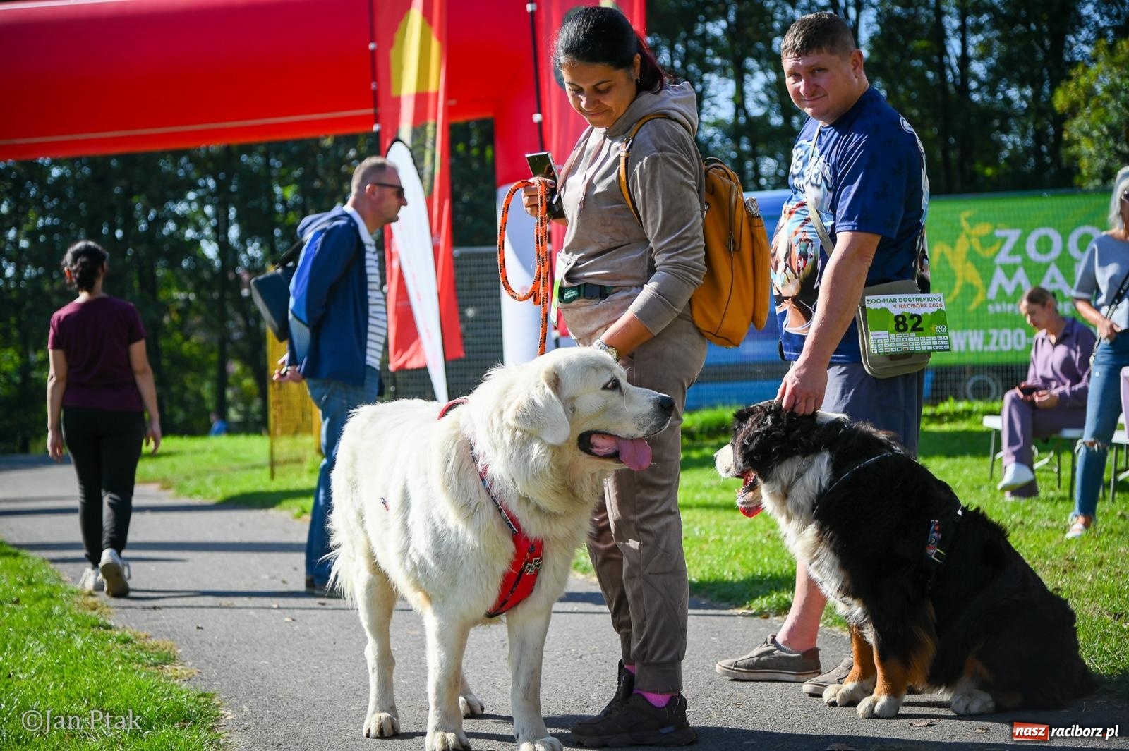 Zdjęcie w galerii na portalu naszraciborz.pl: ZOO-MAR Dogtrekking Racibórz 2026. Sportowa rywalizacja i pomoc dla bezdomnych zwierząt wiadomości z regionu