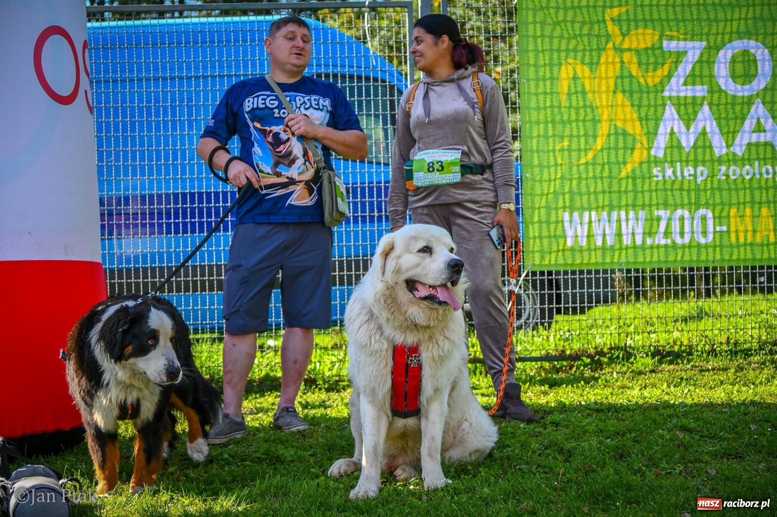 Zdjęcie w galerii na portalu naszraciborz.pl: ZOO-MAR Dogtrekking Racibórz 2026. Sportowa rywalizacja i pomoc dla bezdomnych zwierząt wiadomości z regionu