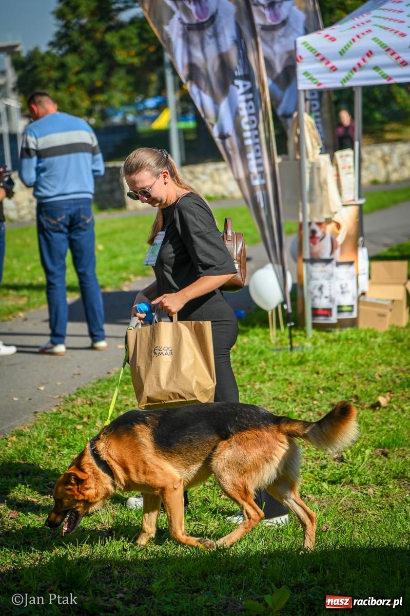Zdjęcie w galerii na portalu naszraciborz.pl: ZOO-MAR Dogtrekking Racibórz 2026. Sportowa rywalizacja i pomoc dla bezdomnych zwierząt wiadomości z regionu