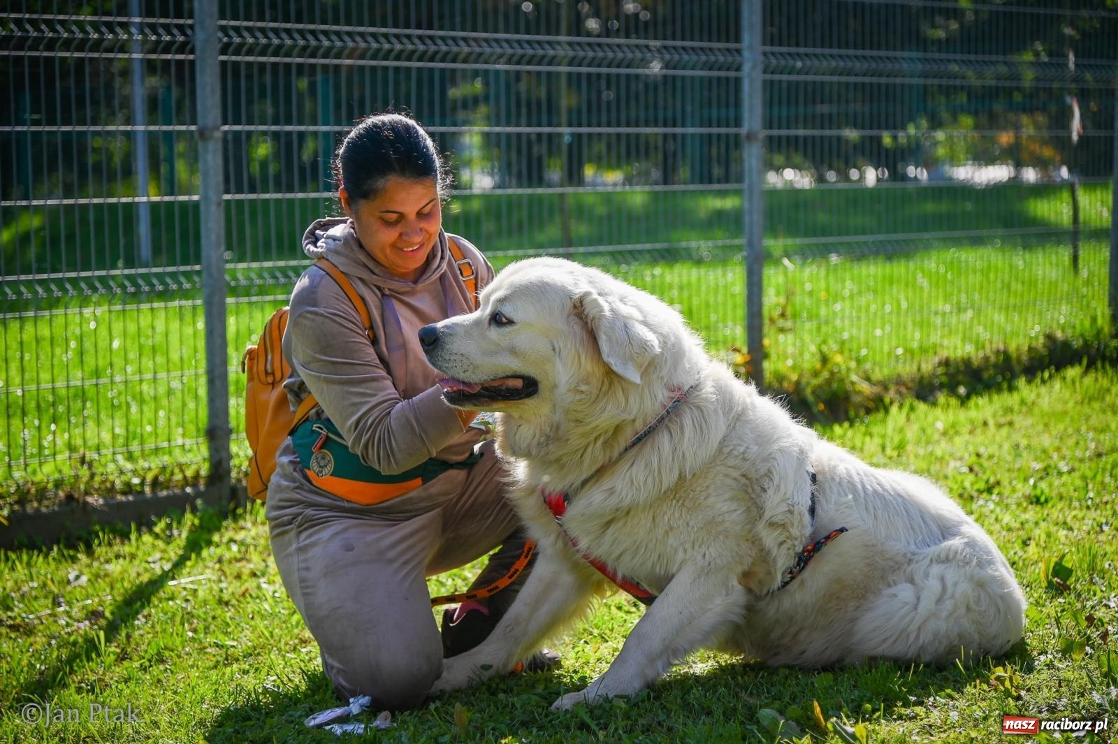 Zdjęcie w galerii na portalu naszraciborz.pl: ZOO-MAR Dogtrekking Racibórz 2026. Sportowa rywalizacja i pomoc dla bezdomnych zwierząt wiadomości z regionu