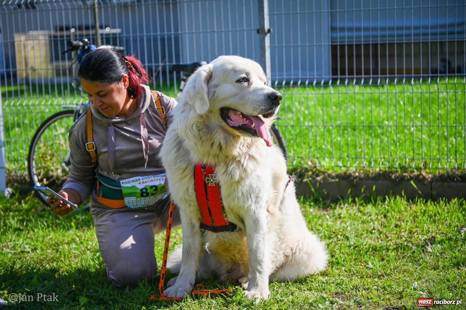 Zdjęcie w galerii na portalu naszraciborz.pl: ZOO-MAR Dogtrekking Racibórz 2026. Sportowa rywalizacja i pomoc dla bezdomnych zwierząt wiadomości z regionu