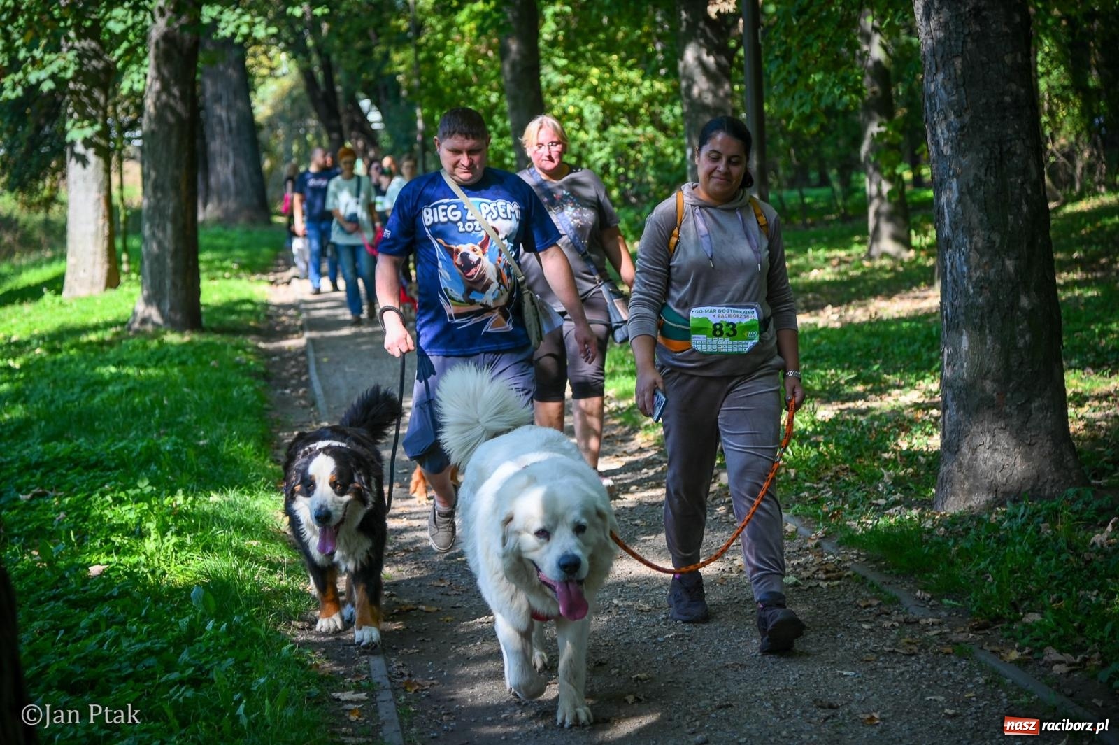 Zdjęcie w galerii na portalu naszraciborz.pl: ZOO-MAR Dogtrekking Racibórz 2026. Sportowa rywalizacja i pomoc dla bezdomnych zwierząt wiadomości z regionu