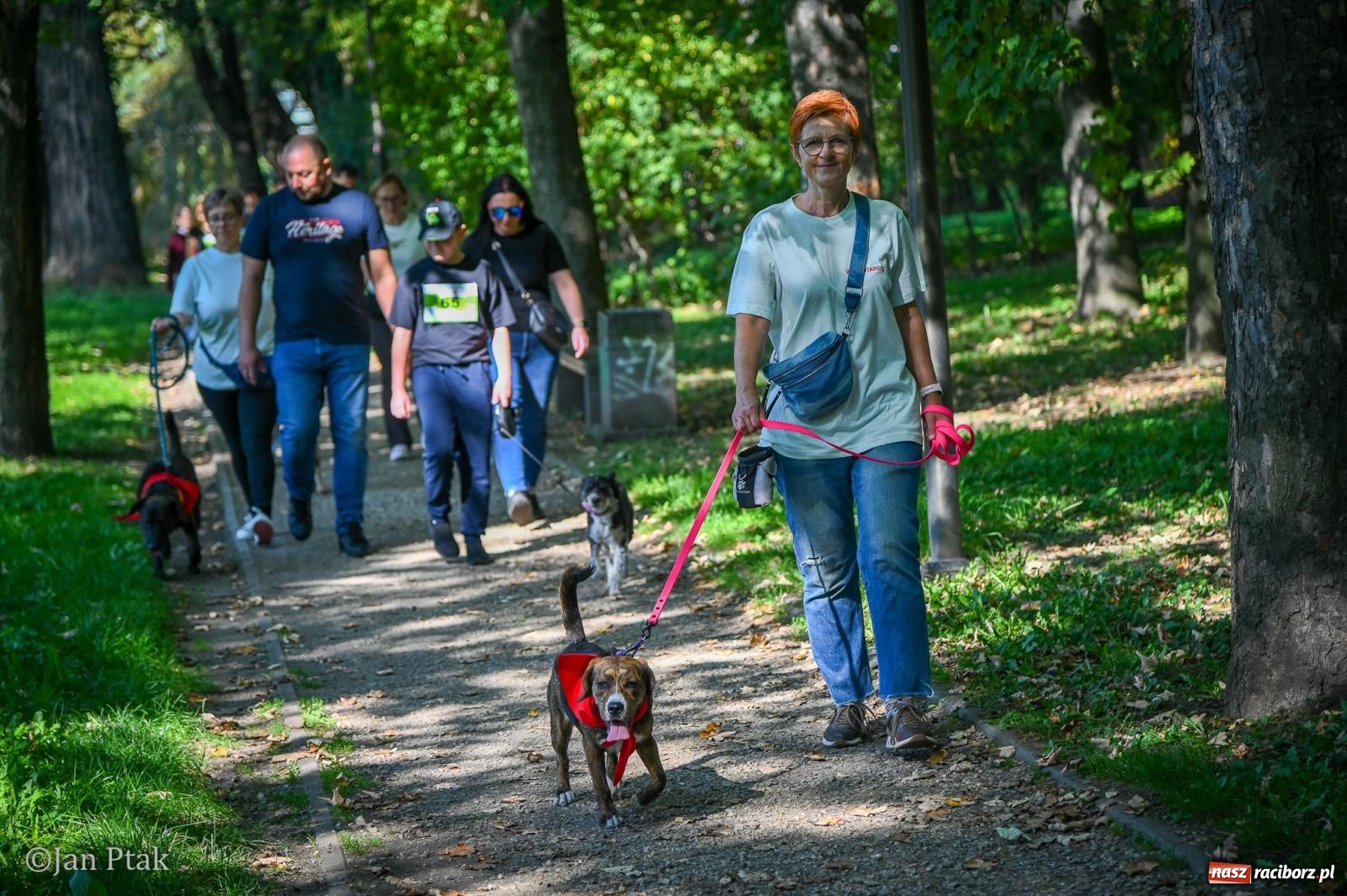 Zdjęcie w galerii na portalu naszraciborz.pl: ZOO-MAR Dogtrekking Racibórz 2026. Sportowa rywalizacja i pomoc dla bezdomnych zwierząt wiadomości z regionu