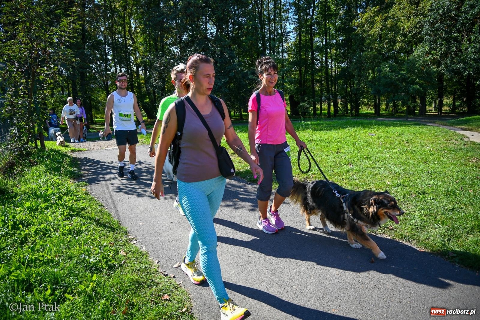 Zdjęcie w galerii na portalu naszraciborz.pl: ZOO-MAR Dogtrekking Racibórz 2026. Sportowa rywalizacja i pomoc dla bezdomnych zwierząt wiadomości z regionu