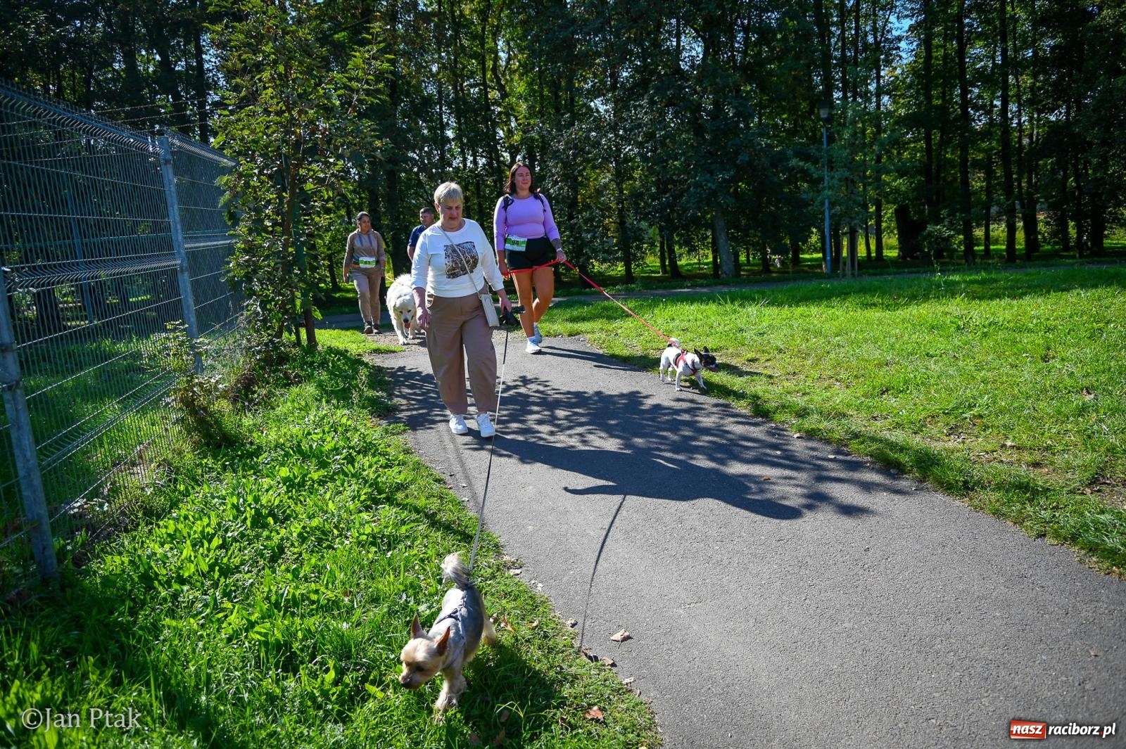Zdjęcie w galerii na portalu naszraciborz.pl: ZOO-MAR Dogtrekking Racibórz 2026. Sportowa rywalizacja i pomoc dla bezdomnych zwierząt wiadomości z regionu