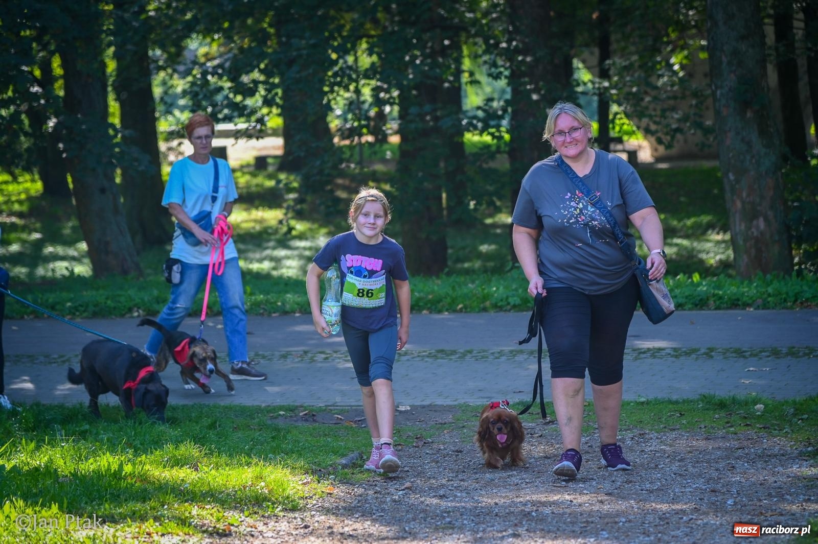 Zdjęcie w galerii na portalu naszraciborz.pl: ZOO-MAR Dogtrekking Racibórz 2026. Sportowa rywalizacja i pomoc dla bezdomnych zwierząt wiadomości z regionu
