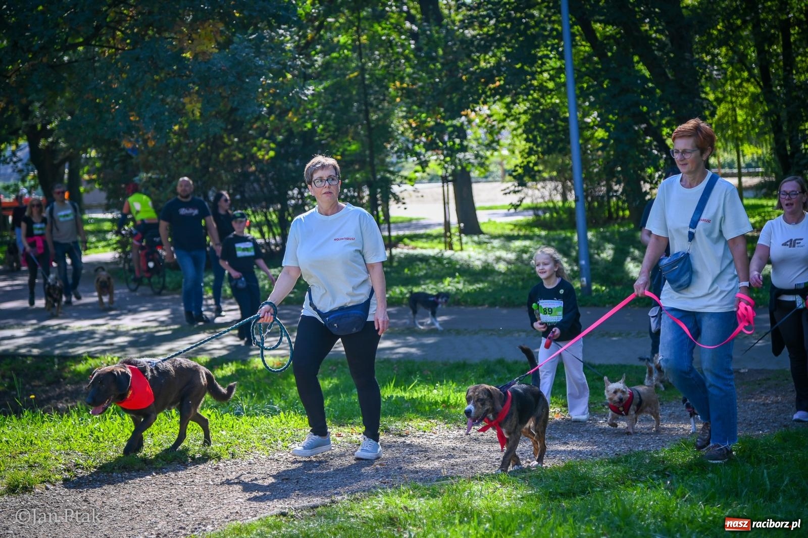 Zdjęcie w galerii na portalu naszraciborz.pl: ZOO-MAR Dogtrekking Racibórz 2026. Sportowa rywalizacja i pomoc dla bezdomnych zwierząt wiadomości z regionu