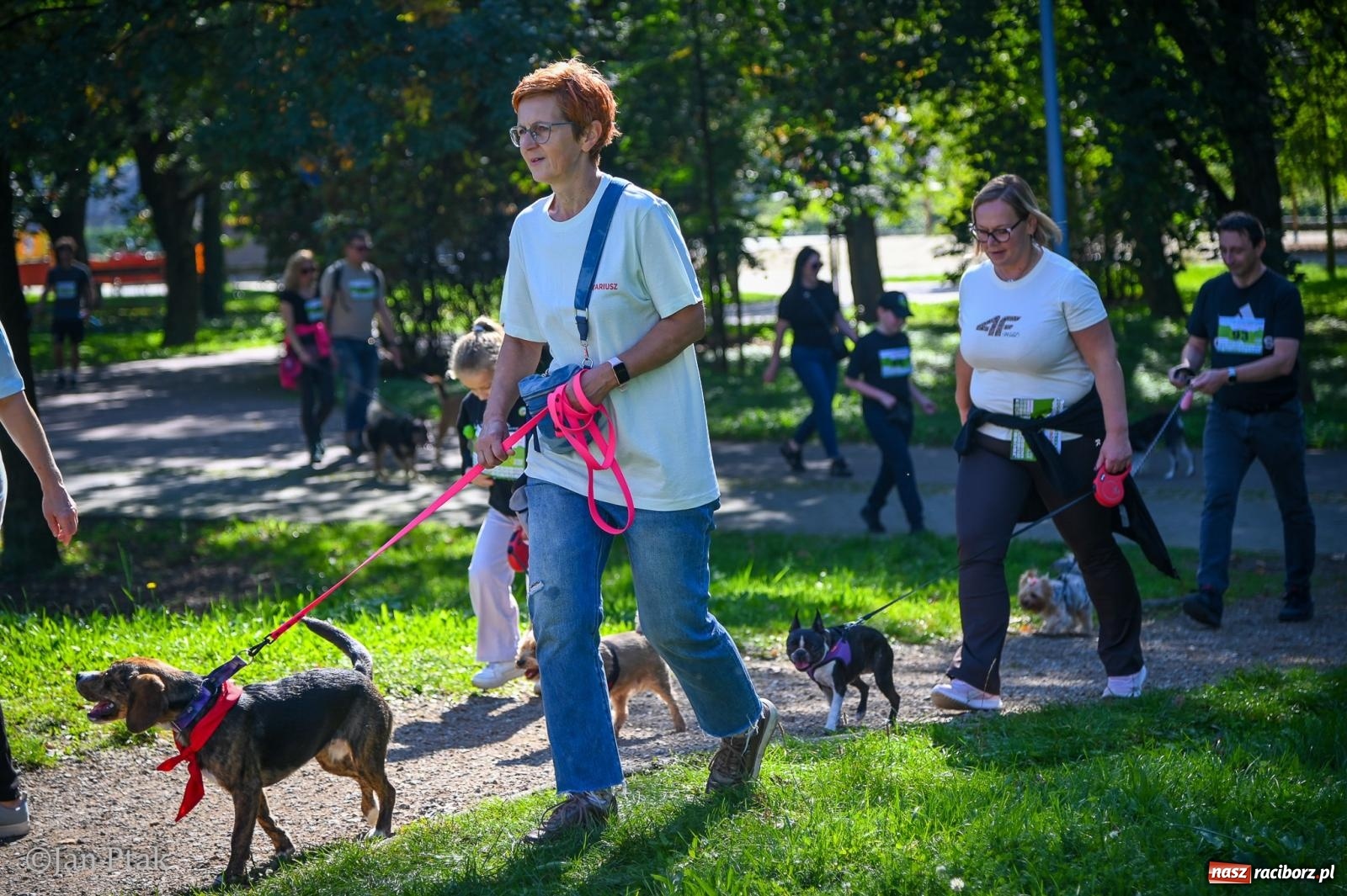 Zdjęcie w galerii na portalu naszraciborz.pl: ZOO-MAR Dogtrekking Racibórz 2026. Sportowa rywalizacja i pomoc dla bezdomnych zwierząt wiadomości z regionu