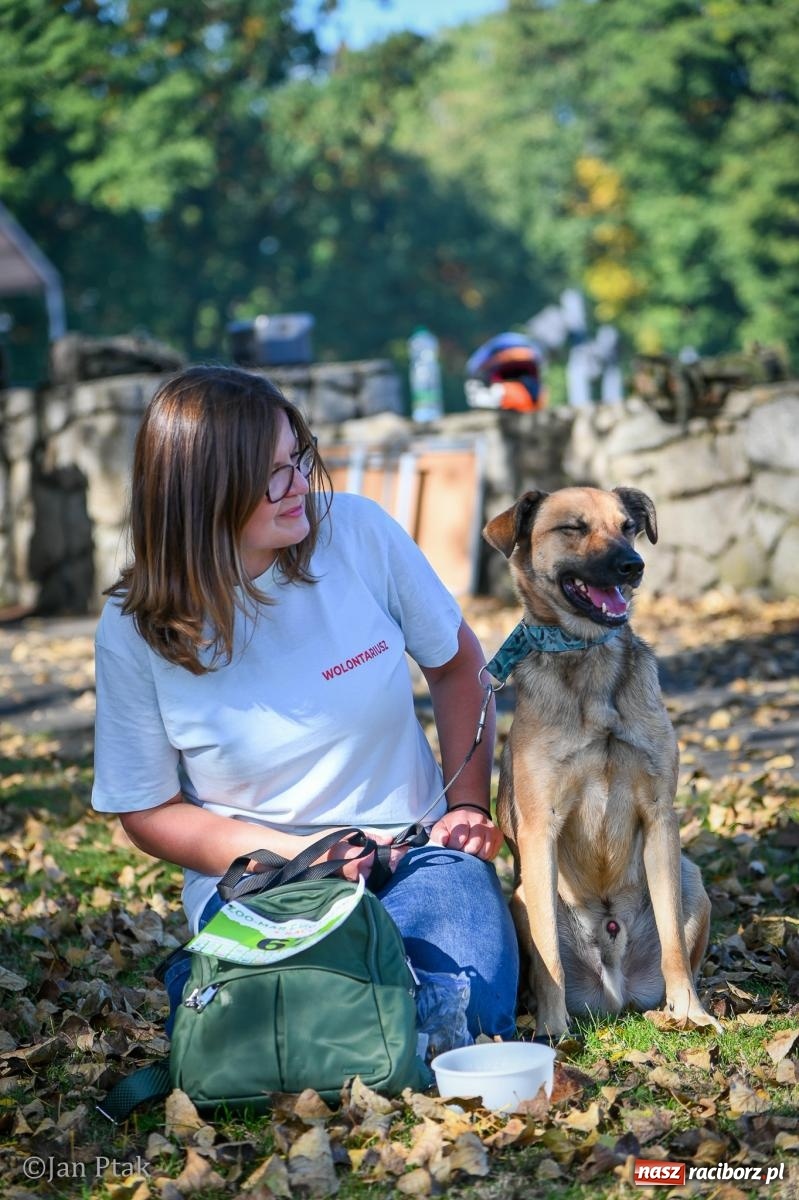 Zdjęcie w galerii na portalu naszraciborz.pl: ZOO-MAR Dogtrekking Racibórz 2026. Sportowa rywalizacja i pomoc dla bezdomnych zwierząt wiadomości z regionu