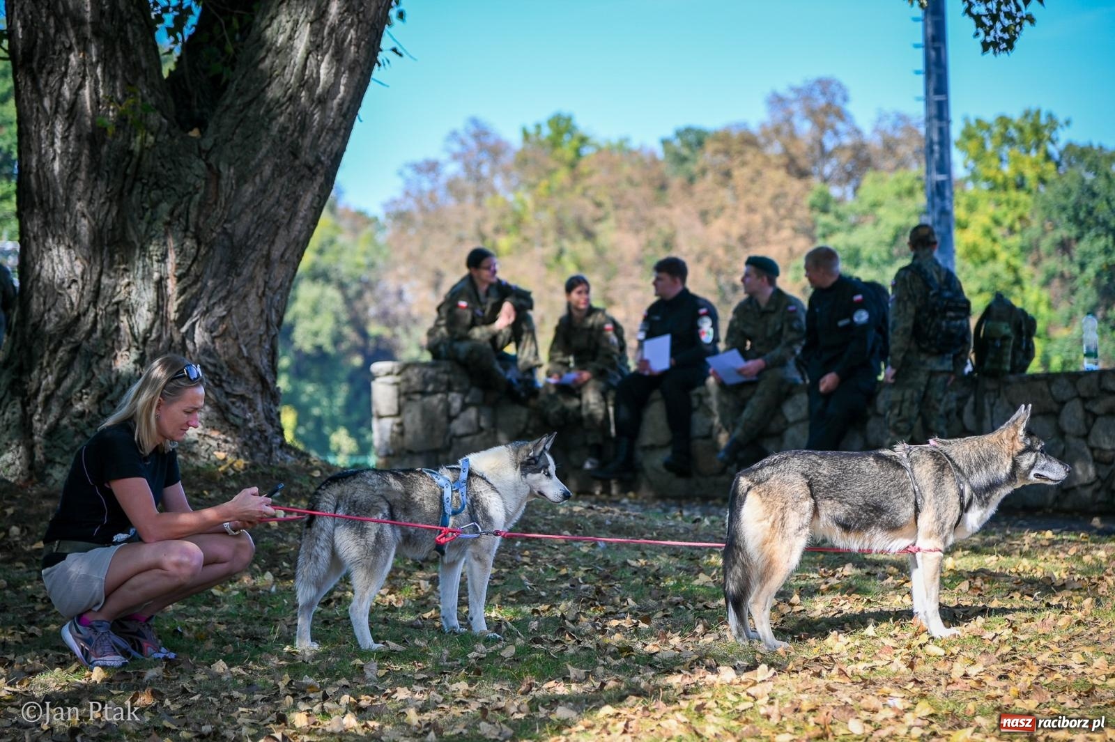 Zdjęcie w galerii na portalu naszraciborz.pl: ZOO-MAR Dogtrekking Racibórz 2026. Sportowa rywalizacja i pomoc dla bezdomnych zwierząt wiadomości z regionu