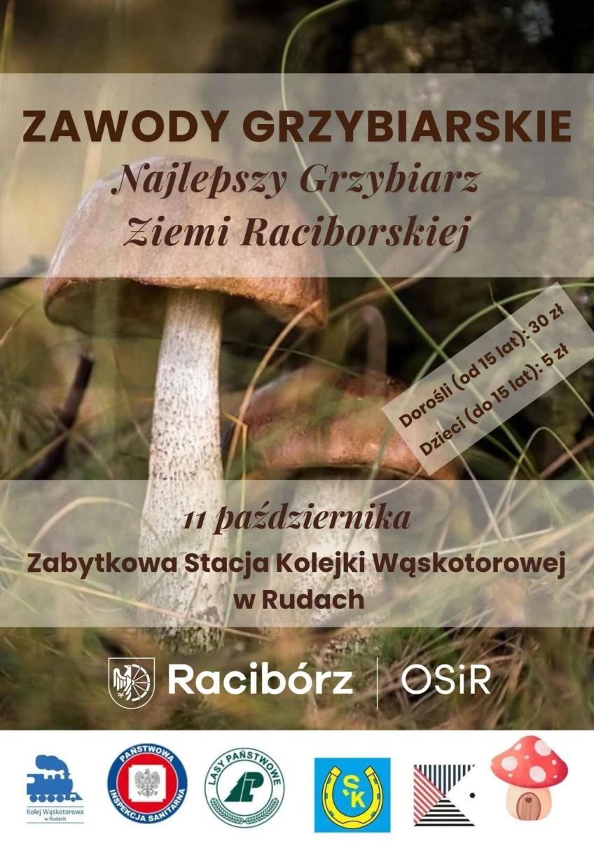 Zdjęcie w galerii na portalu naszraciborz.pl: Co? Gdzie? Kiedy? Nawigator weekendowy wiadomości z regionu