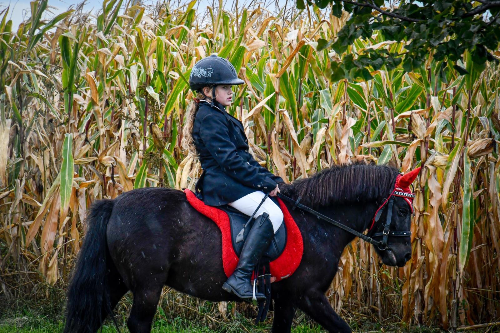 Zdjęcie w galerii na portalu naszraciborz.pl: Natalia Rzerzacz zwyciężczynią pogoni za lisem podczas hubertusa w Żerdzinach [FOTO i WIDEO] wiadomości z regionu